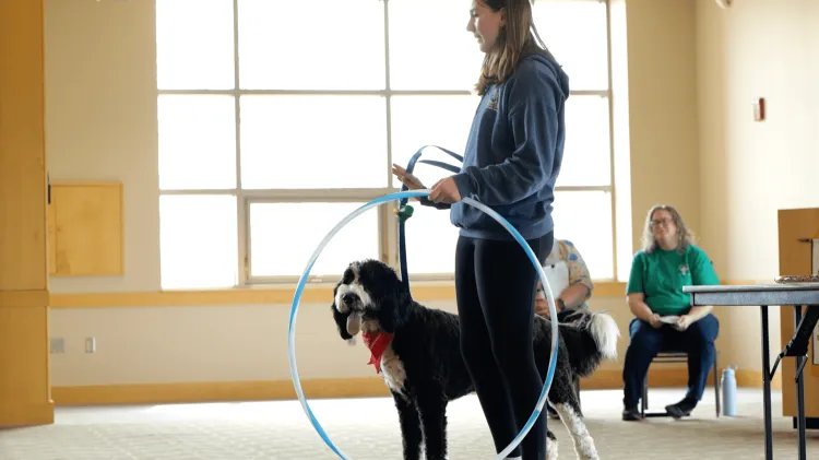 A young person holds a hula hoop with a dog looking through it.
