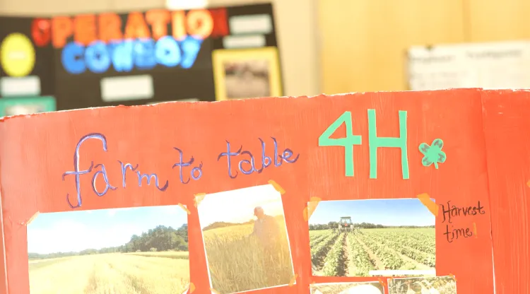 A red poster with the text farm to table 4H