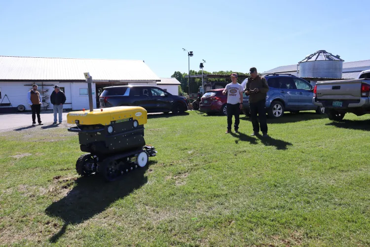 robot on lawn