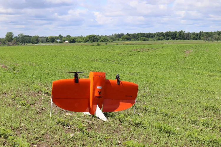 drone