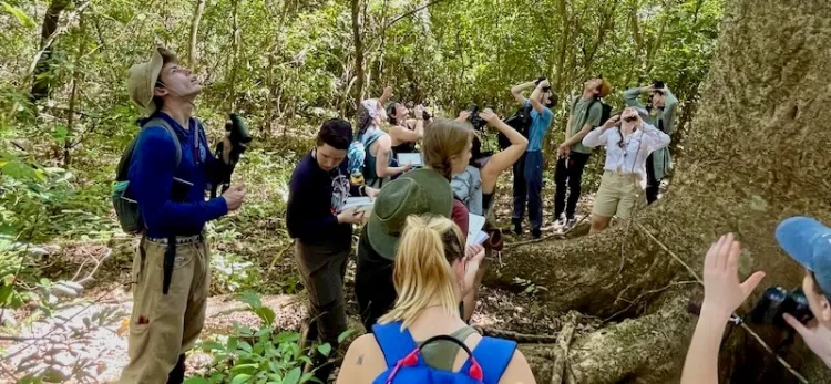 a group of students with backpacks and binoculars looking up into the canopy of a tropical forest