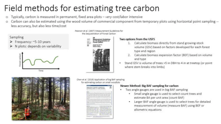 measuring forest carbon chart