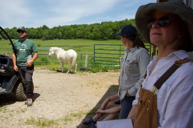 Between three people standing outside near grass is a white horse