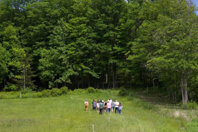 A group of about a dozen people walk in a lush field, as seen from a distance.
