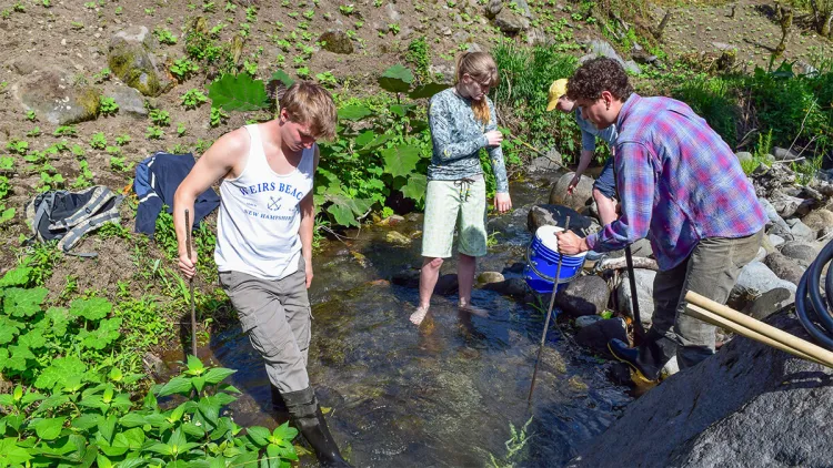 Henry Myatt, Ginger Thralow, Finn Dabish, and Finn Duncan test a deployment of their prototype device.