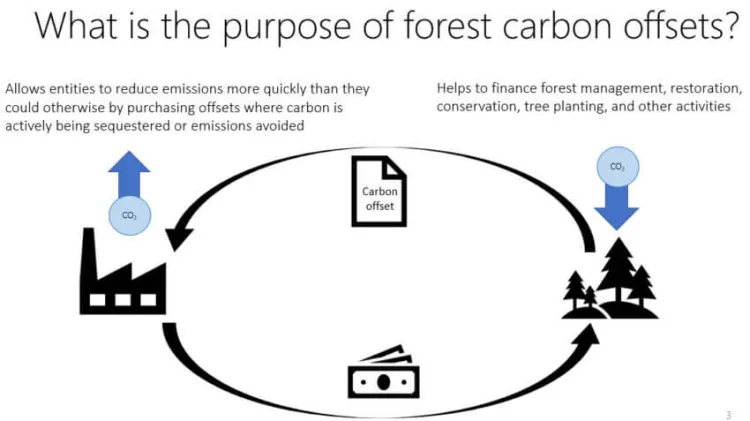 carbon offset demo