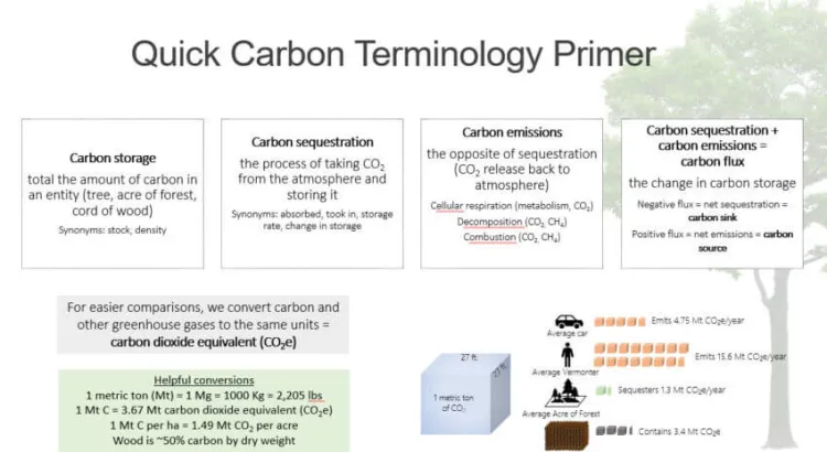 term carbon sheet