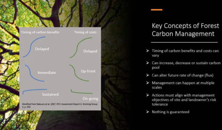 forest carbon stewardship ppt slide