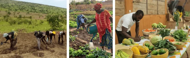 Farmers in West Africa tilling, watering, and vending their produce. 