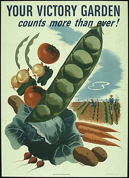 An illustrated poster with a giant produce in the forefront, rows of crops in a flat field in the background and the text "Your victory garden counts more than ever!"