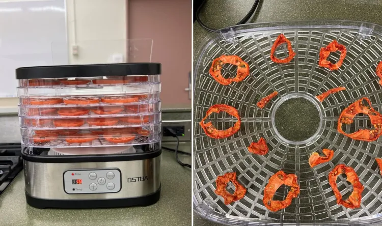 a split screen photo with a shot of fresh tomatoes in a dehydrator and shot of the tomatoes when dried