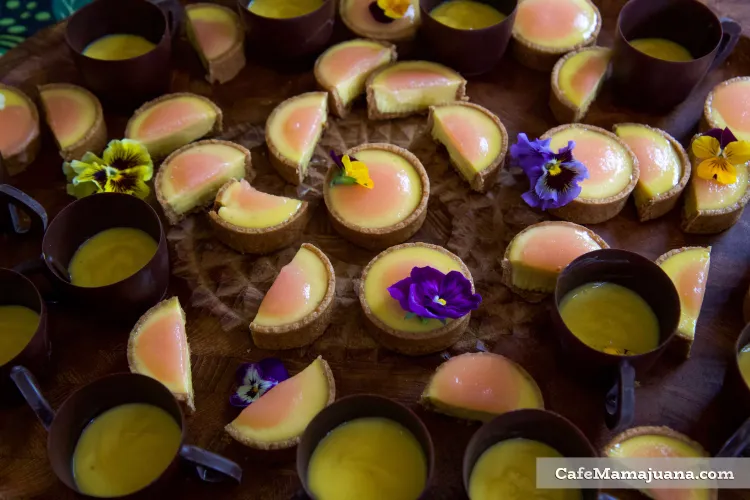 A wooden surface covered in little round, yellow-and-pink tarts and chocolate cups.
