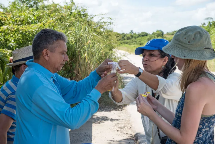 Four people hold a research object during field work in Cuba. 