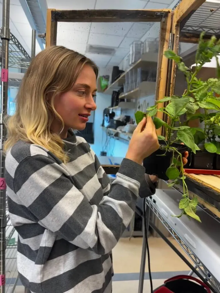  A woman examining bugs