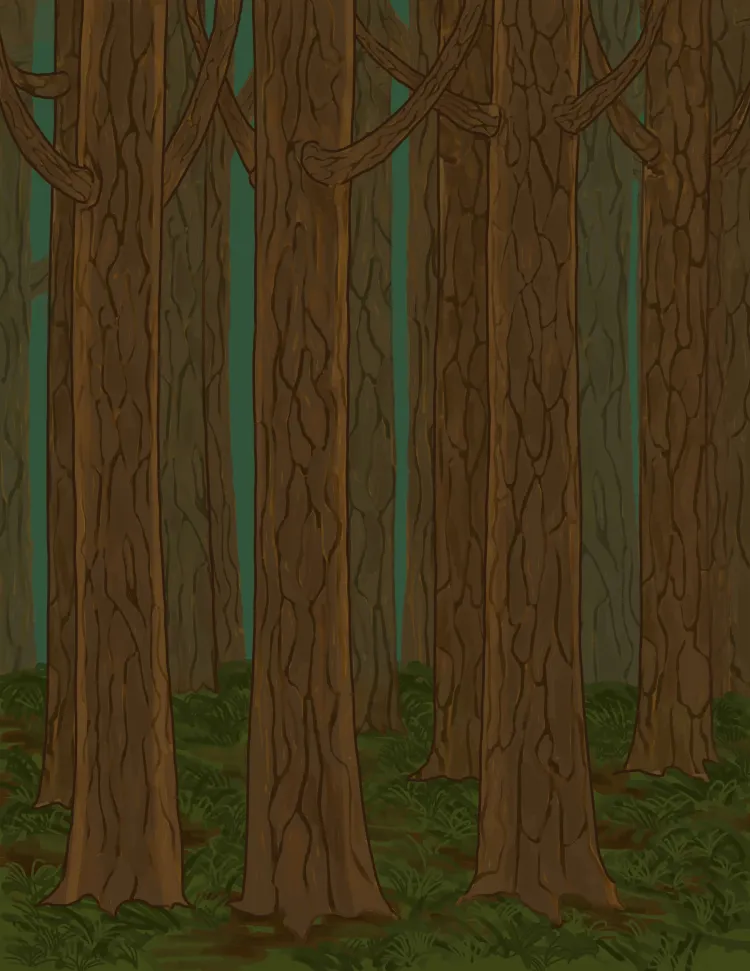 dark forest of the same age and species