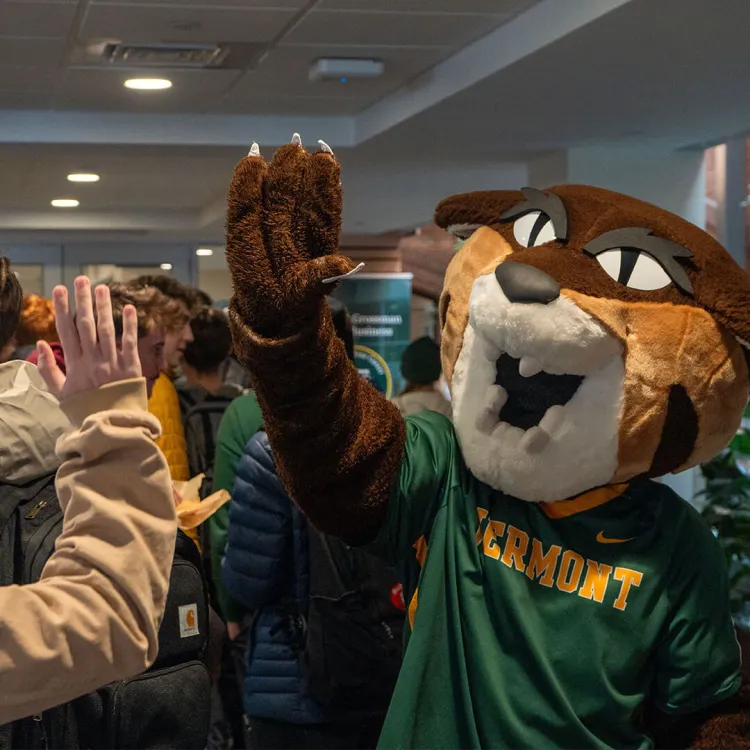 the UVM mascot catamount, Rally Cat, high-fives a student
