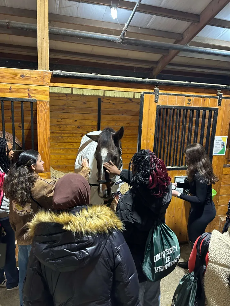 Students pet a horse in a stall