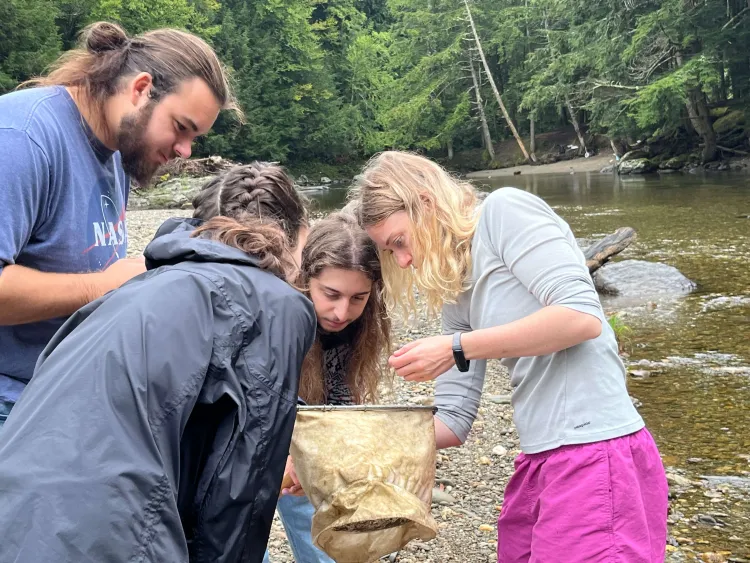 A group of students studying insects in the wild