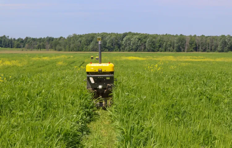 Crop field