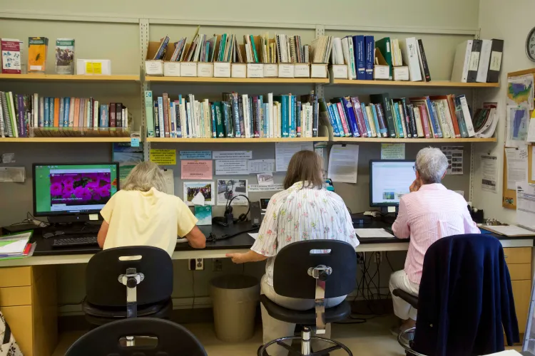 Three women sit in a line of chairs at a long desk in front of a very full bookshelf.