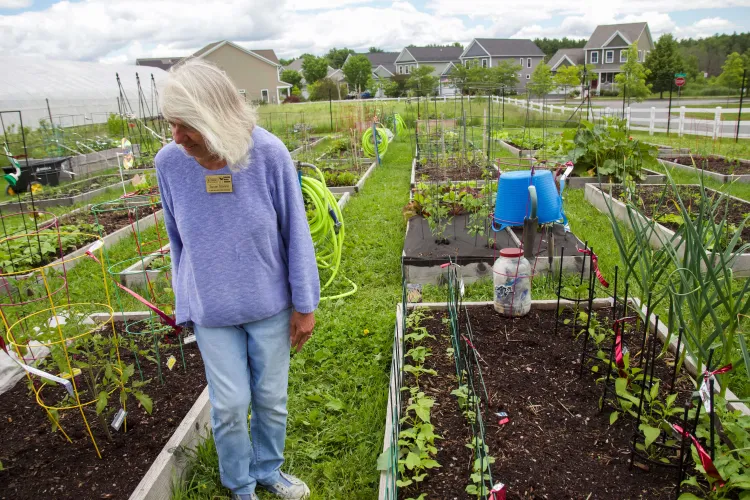 A white woman with shoulder length white hair walks through raised garden beds on a cloudy summer day. Her hair is blown a bit by a breeze.