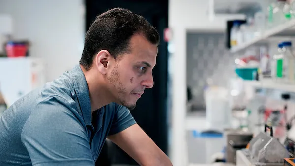 professor looking at research in the lab