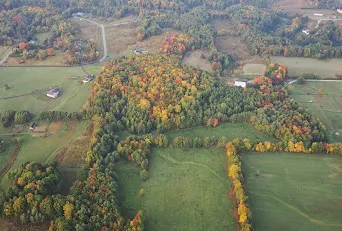 aerial view