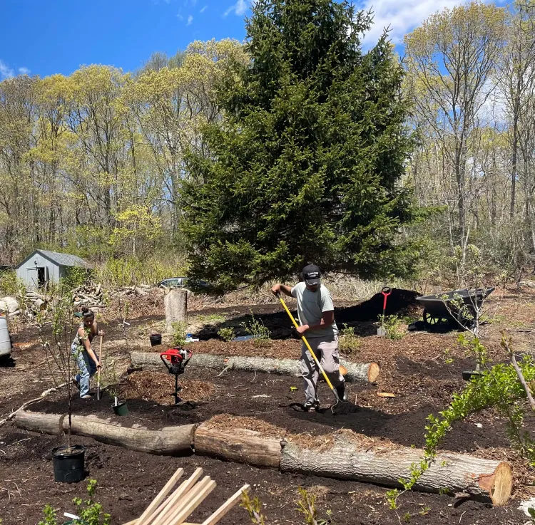 Two people planting trees
