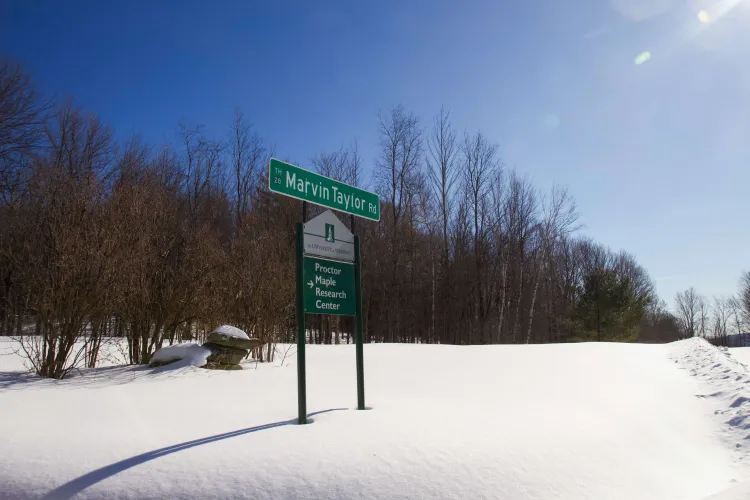 A green and white sign that reads "Proctor Maple Research Center," with a green road sign above it that says Marvin Taylor Road. The scene is a bright blue sky, snow on the ground and sunlight pouring in from the top right corner of the image.