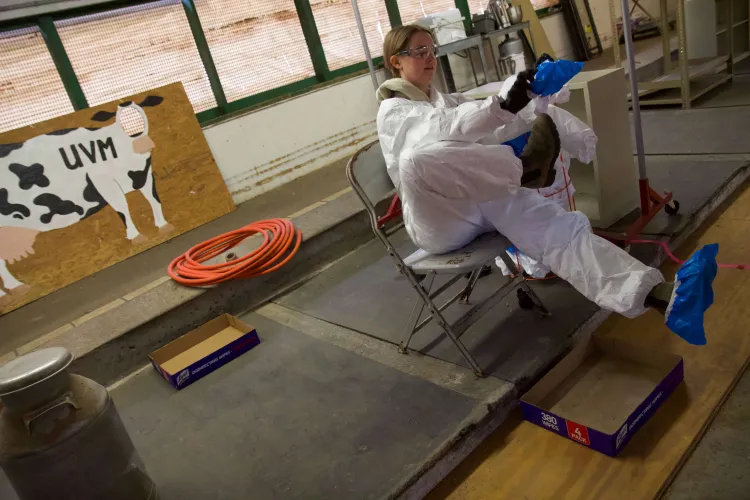 A student preps for a biosecurity game