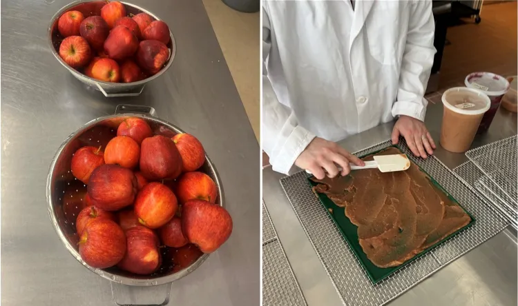a split photo (apples in 2 bowls, a person spreading apple puree)
