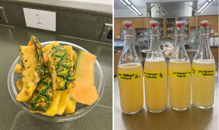 split photo of pineapple skins and 4 bottles of tepache