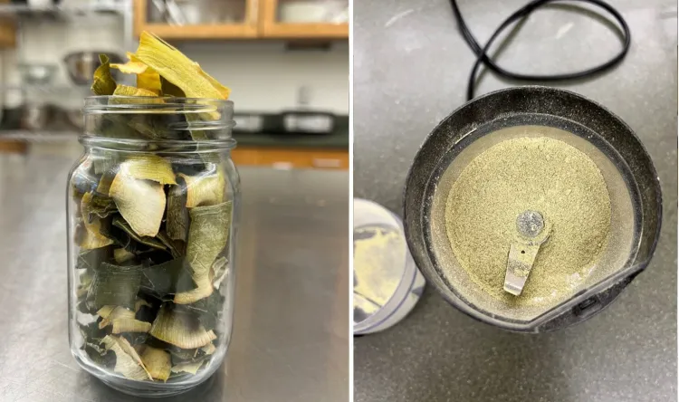 split photo of leek chips in a jar and ground leeks in a grinder