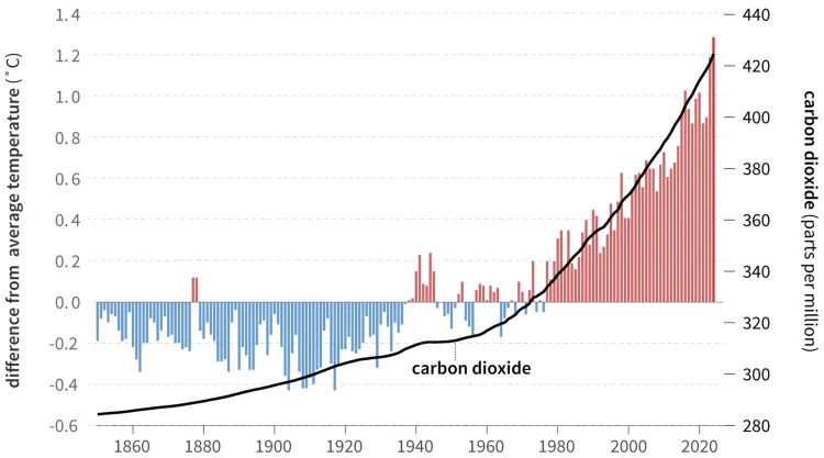 Bar graph showing  the difference from the average temperature from 1950 to 2024 with a line showing the changes in atmospheric carbon dioxide. there is an increasing trend for both the carbon dioxide and average temperature, with both metrics increasing at approximately the same rate over time. 
