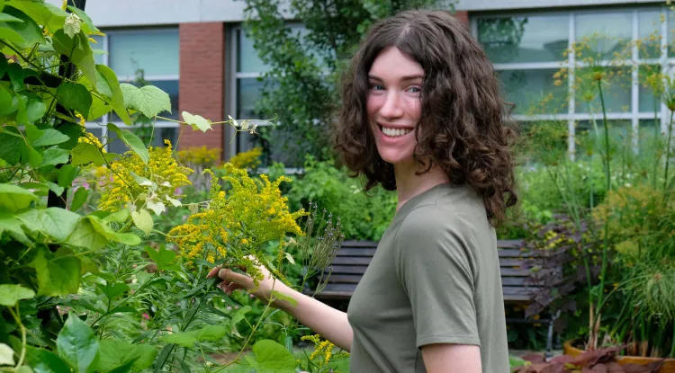 a person standing by flowering bushes