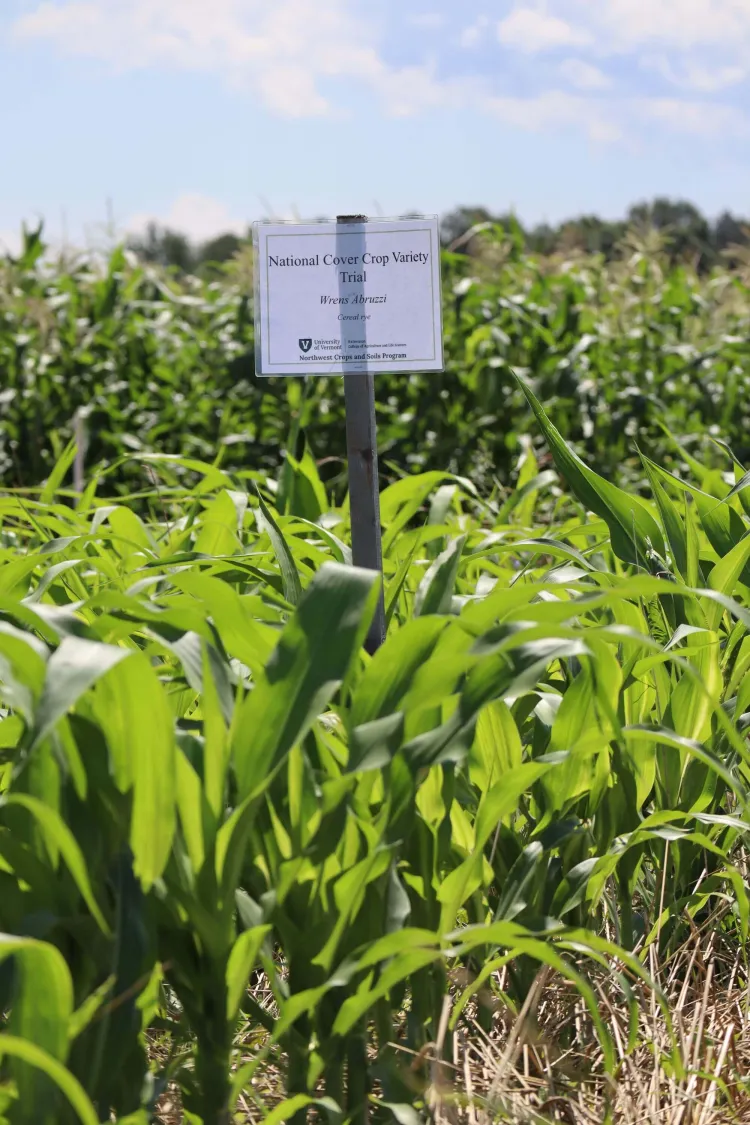 research sign