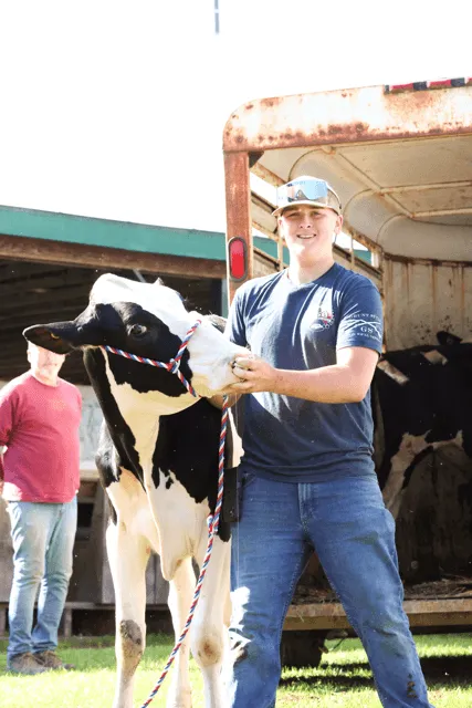 Teen boy with a calf