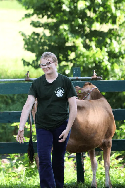 Girl at the fair with a cow