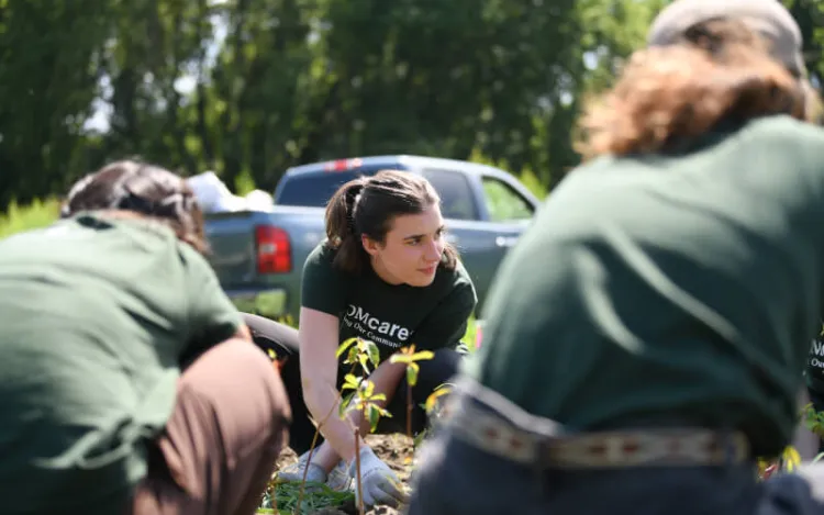 young person weeding a garden on a sunny day