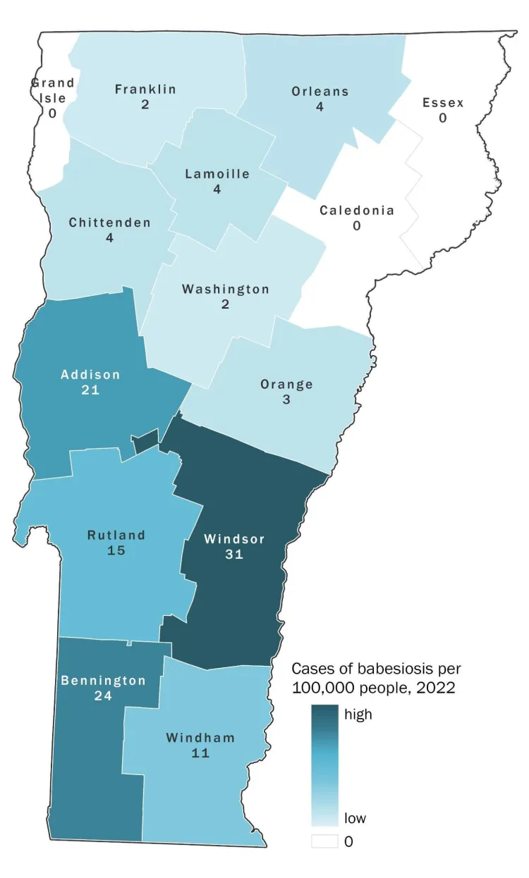A map of Vermont with counties color coded by level of babesiosis incidence in 2022. Windsor county had the highest: 31 cases per 100,000 people. Bennington county had the second highest: 24 per 100,000. Generally, incidence rates were higher in the southern counties