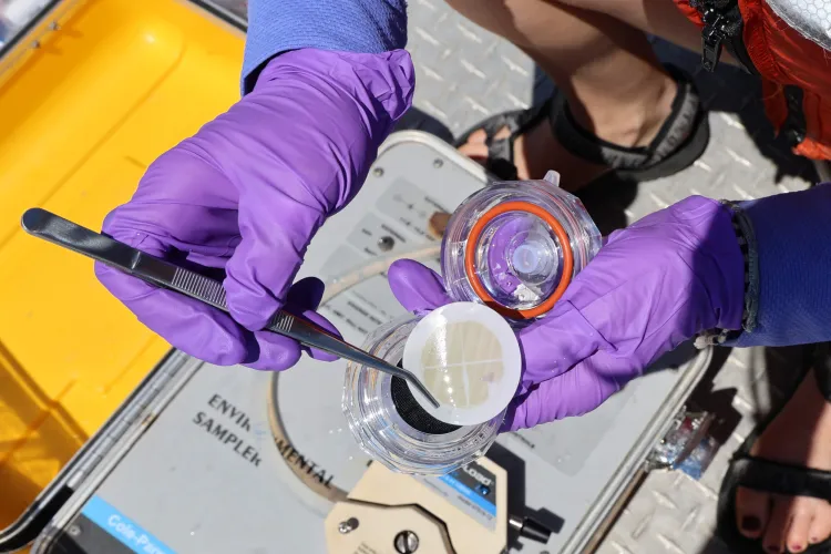 water sample