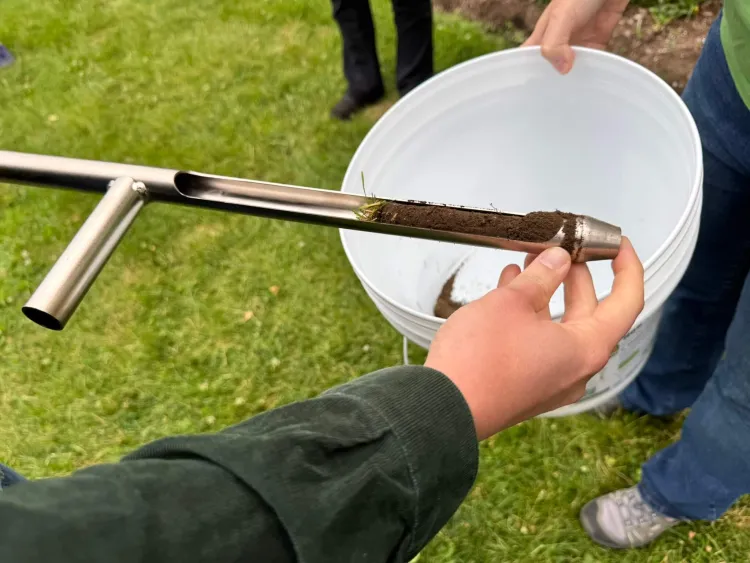 A top-down view of a hand holding a metal pipe-like tool with soil visible in it's half-open bottom part. The hand is holding the tool above a white bucket, over grass.