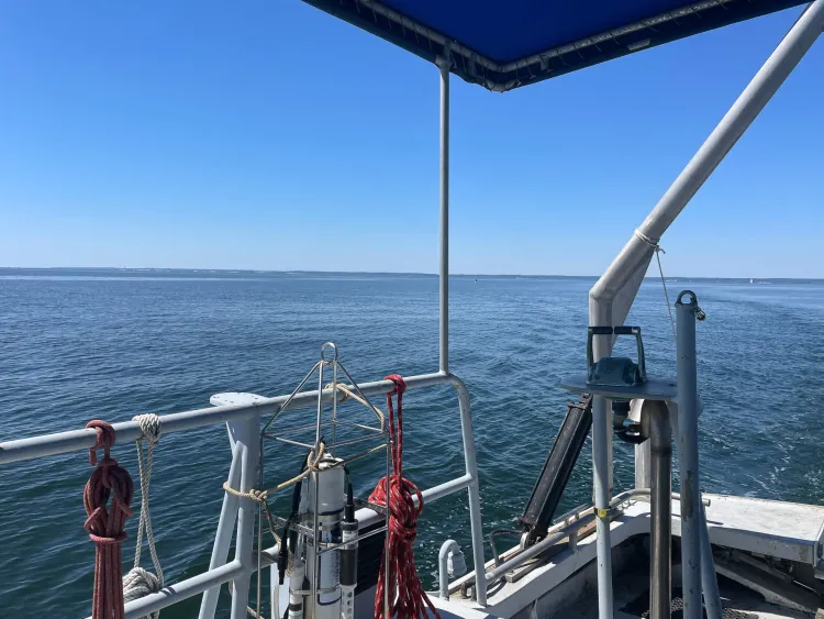 A photo Liz took from the deck of a NOAA vessel.