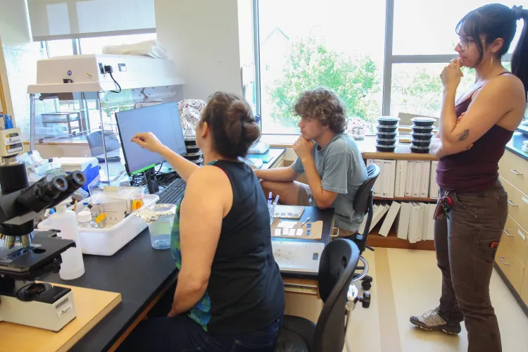 Three people gather around a computer monitor, with two people holding a hand to their chins while the third person points to the monitor. They're in a lab setting. 