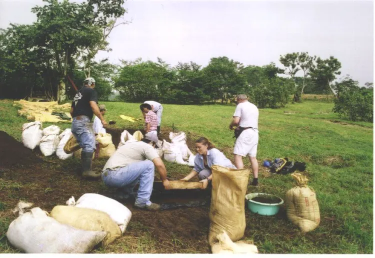 People help to plant on a farm in Costa Riva