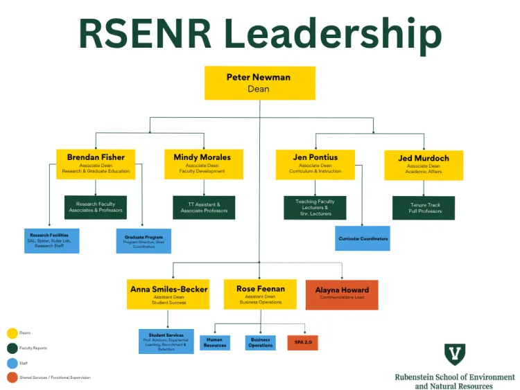Chart of the RSENR Leadership Organizational Chart. The chart displays Dean Peter Newman at the top with lines branching off to seven tiers of people and positions. The org chart contents are listed below this image.