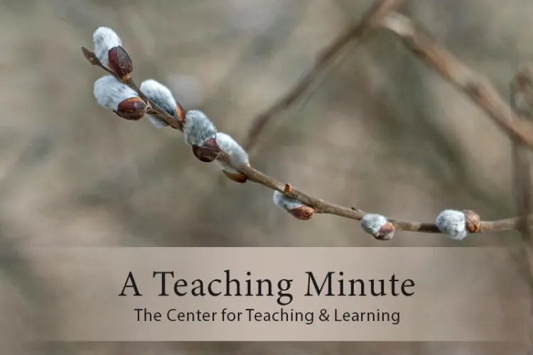 A Teaching Minute