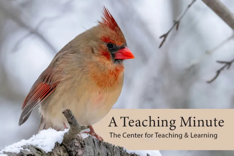 A Teaching Minute