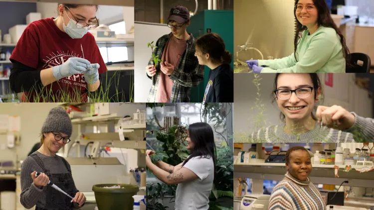 phd students