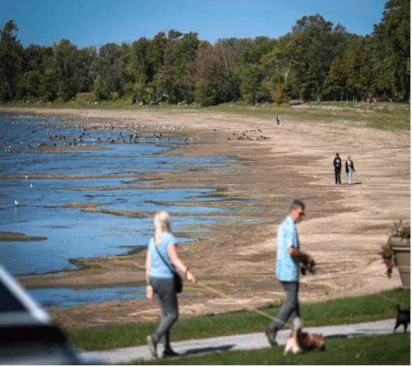 People walking with dogs along St. Alban’s Bay where the shoreline is largely exposed and water levels are low. 